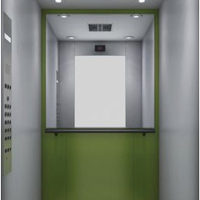 Passenger elevator service in indore